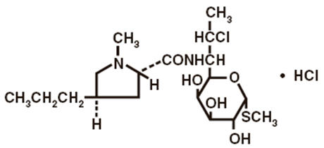 Pill image for Clindamycin Hydrochloride
