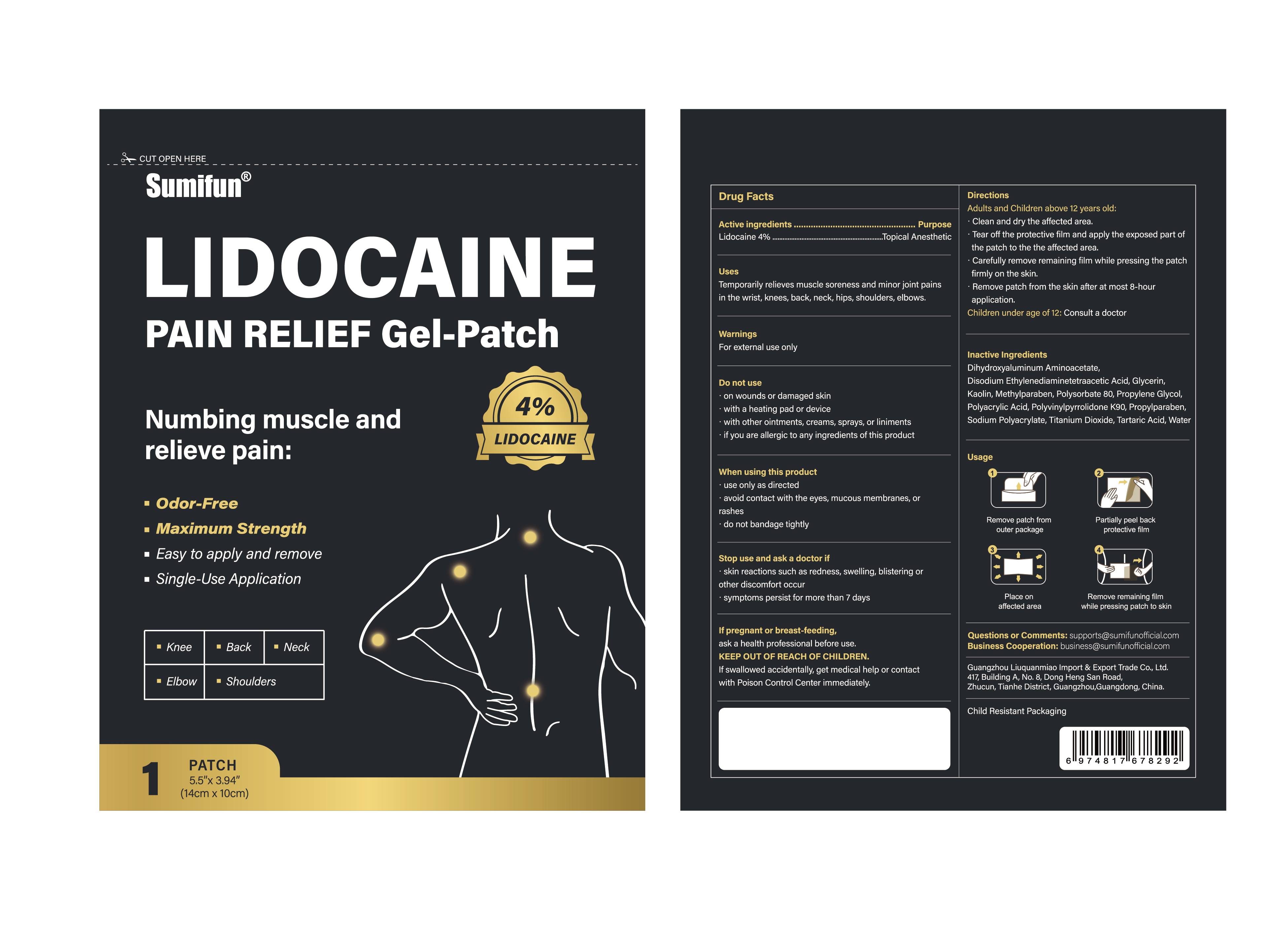 Pill image for Liuquanmiao, Lidocaine Pain Relief Gel-patch, Lidocaine 4%, 15-41 Patches