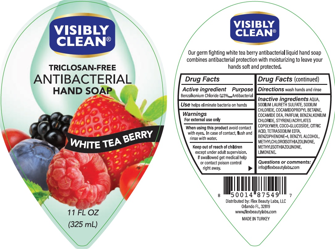 Pill image for Antibacterial, Triclosan Free- Visibly Clean Hand Soap- White Tea Berry