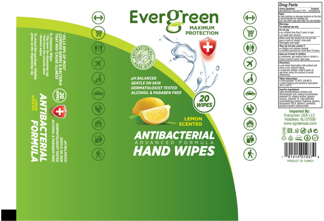 Pill image for Evergreen  ﻿antibacterial