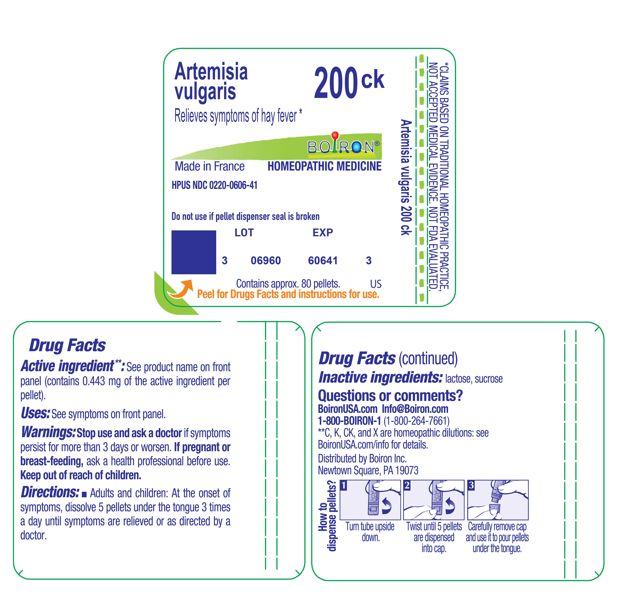 Pill image for Artemisia Vulgaris 200ck