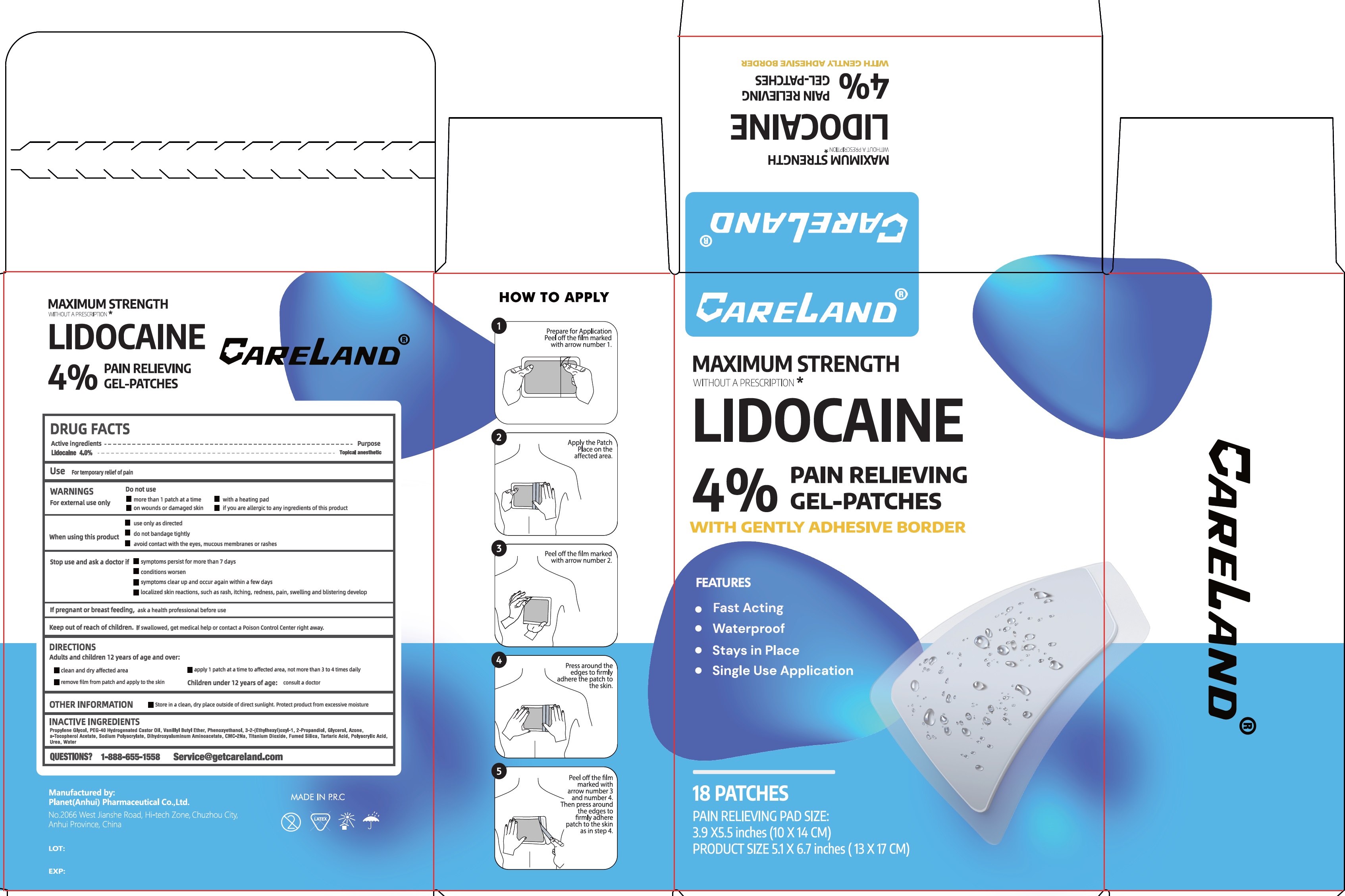 Pill image for Careland Max Strength Lidocaine 4% Pain Relieving Gel Patches