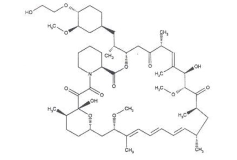 Pill image for These Highlights Do Not Include All The Information Needed To Use Everolimus Tablets Safely And Effectively. See Full Prescribing Information For Everolimus Tablets.