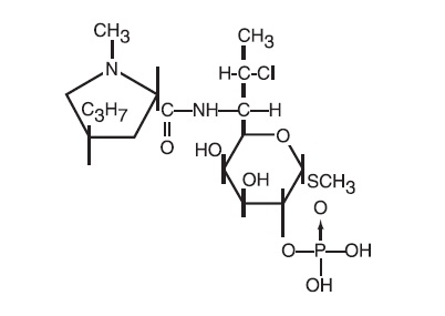 Pill image for Clindamycin Phosphate Topical Solution Usp, 1%