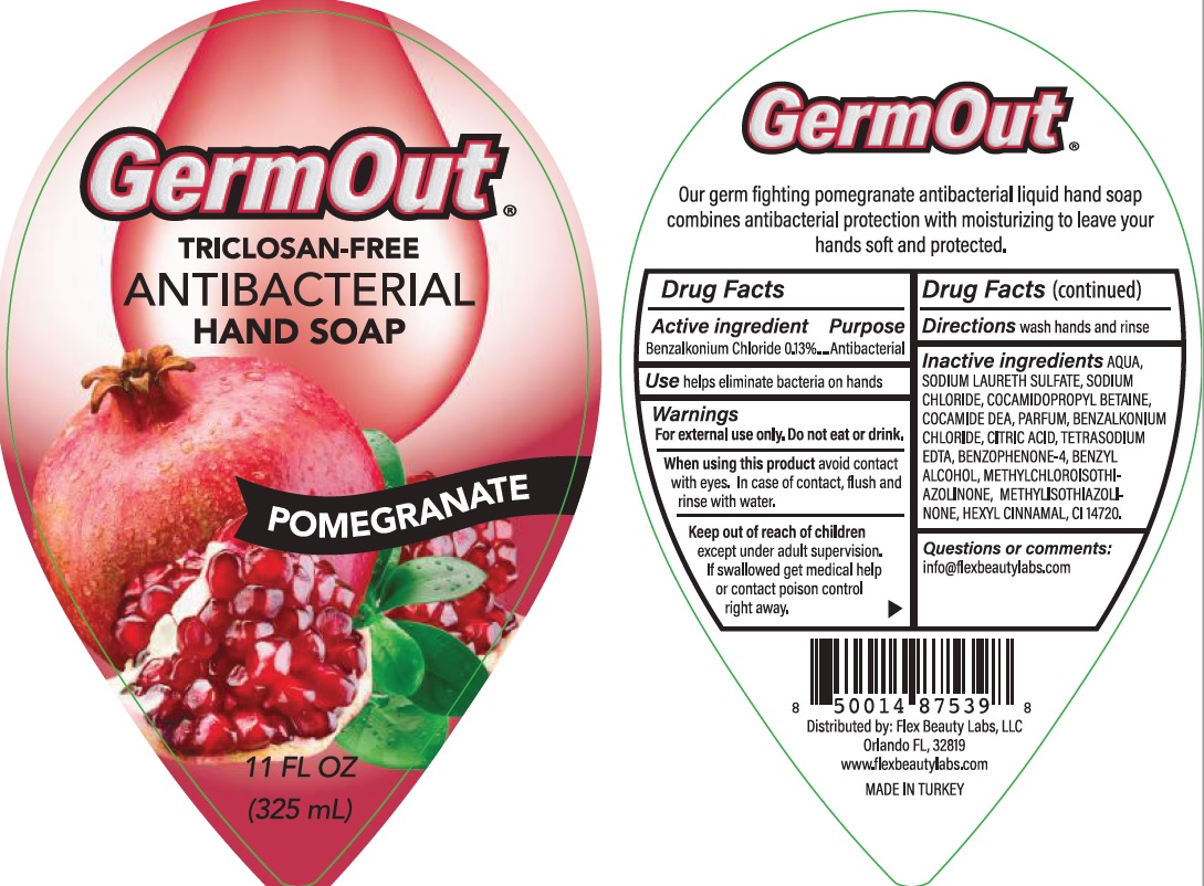 Pill image for Antibacterial- Germout Hand Soap, Triclosan Free, Pomegranate