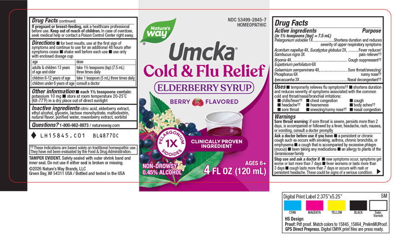 Pill image for Cold + Flu Relief Elderberry syrup