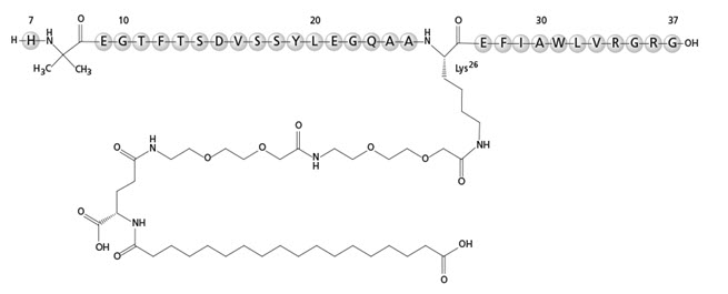 Pill image for These Highlights Do Not Include All The Information Needed To Use Rybelsus ®