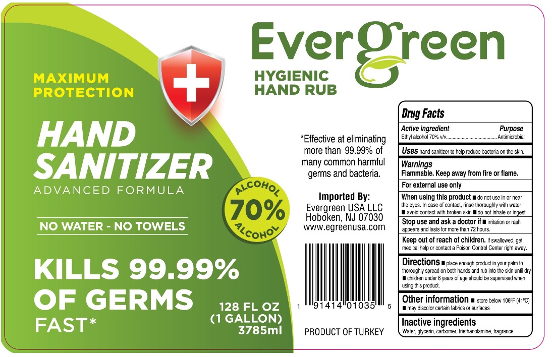 Pill image for Evergreen Hand Santizer Advanced Formula