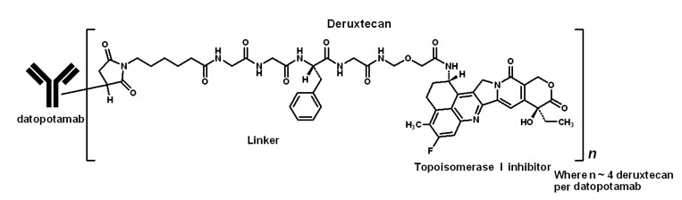 Pill image for These Highlights Do Not Include All The Information Needed To Use Datroway Safely And Effectively. See Full Prescribing Information For Datroway.