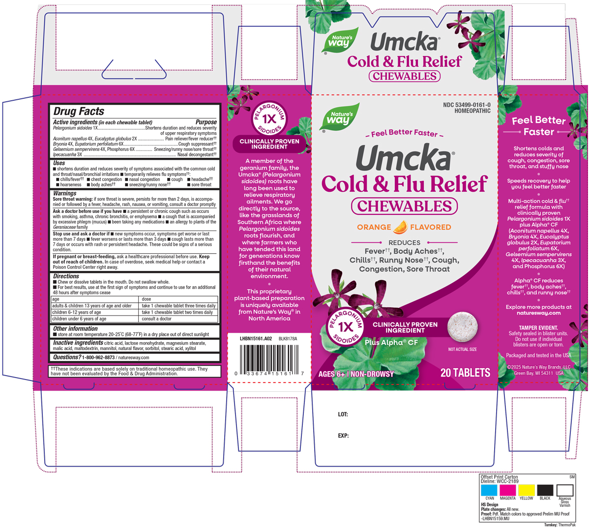 Pill image for Cold + Flu Relief Orange Chewables