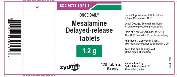 Pill image for Mesalamine Delayed-release Tablets