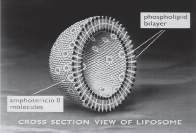 Pill image for Amphotericin B Liposome For Injection