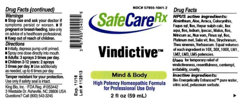 Pill image for Vindictive