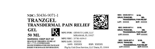 Pill image for Tranzgel Homeopathic Transdermal Pain Relief Gel