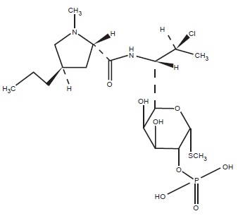 Pill image for These Highlights Do Not Include All The Information Needed To Use Clindamycin Phosphate Foam Safely And Effectively. See Full Prescribing Information For Clindamycin Phosphate Foam.