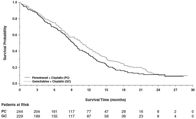 Pill image for These Highlights Do Not Include All The Information Needed To Use Pemetrexed For Injection S