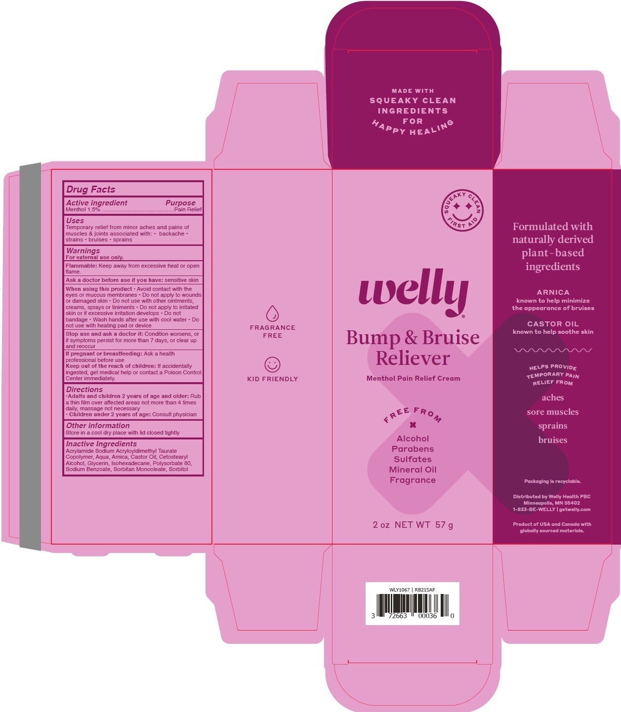 Pill image for Bump And Bruise Reliever