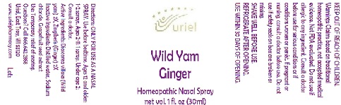 Pill image for Wild Yam Ginger Spray- 1 Oz.