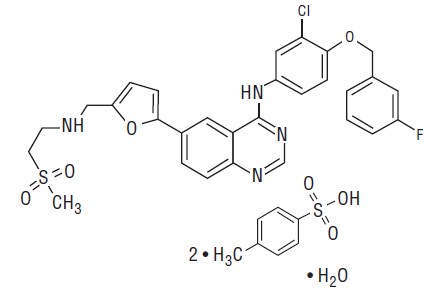 Pill image for Lapatinib Tablets, For Oral Use