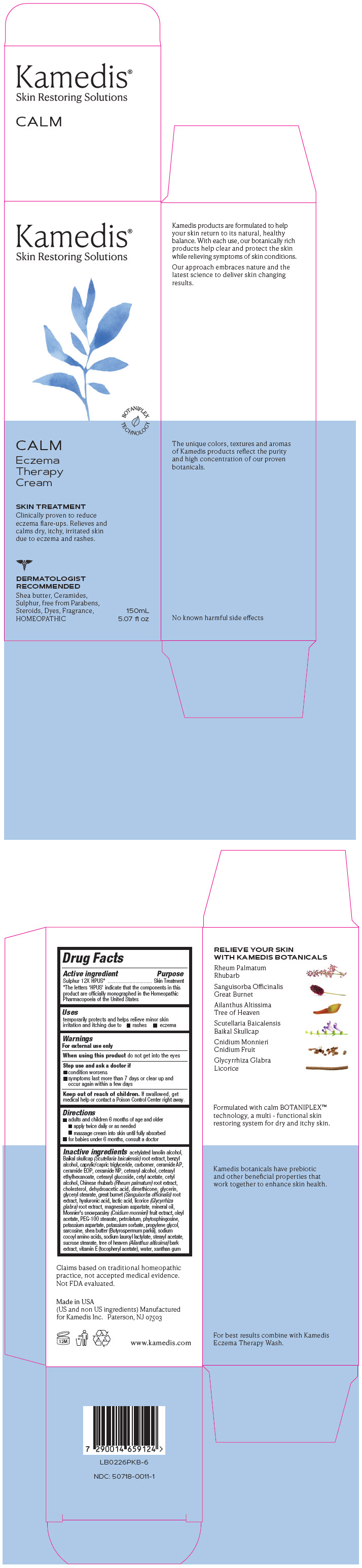 Pill image for Calm Eczema Therapy Cream