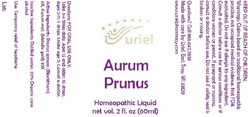Pill image for Aurum Prunus