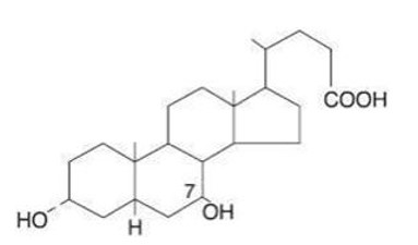 Pill image for ursodiol capsules, usp
