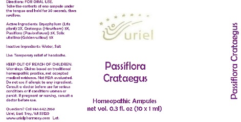 Pill image for Passiflora Crataegus