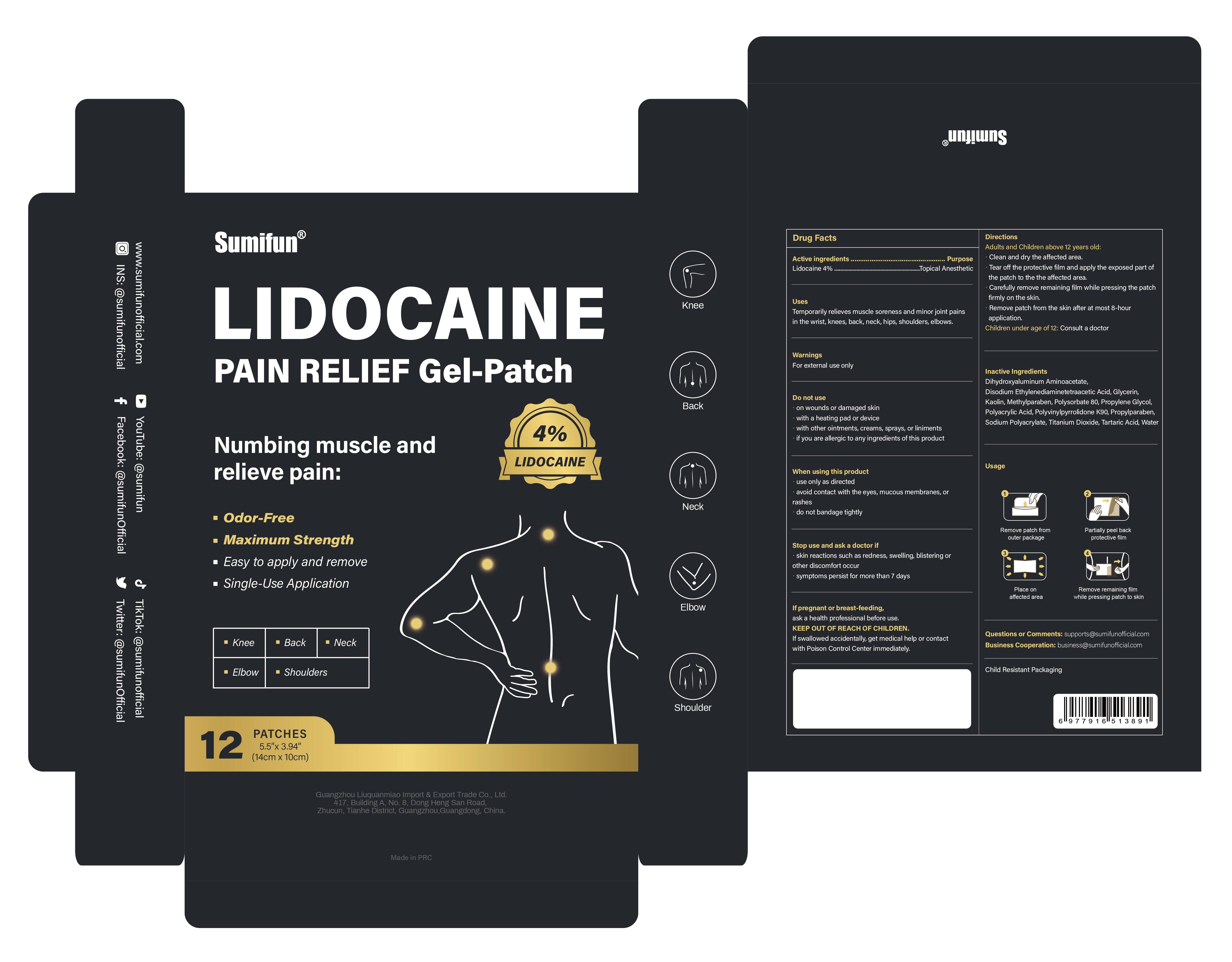 Pill image for Liuquanmiao, Lidocaine Pain Relief Gel-patch, Lidocaine 4%, 15-41 Patches