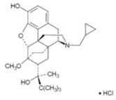 Pill image for These Highlights Do Not Include All The Information Needed To Use Buprenorphine Sublingual Tablets Safely And Effectively. See Full Prescribing Information For Buprenorphine Sublingual Tablets.