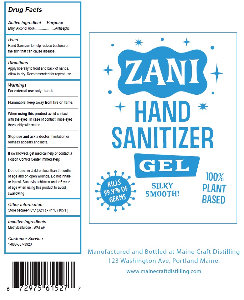 Pill image for Zani Hand Sanitizer Gel
