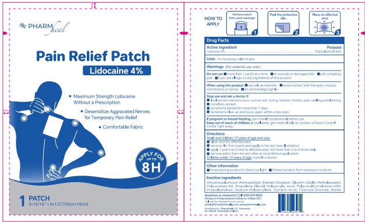 Pill image for Maximum Strength 4% Lidocaine Patch