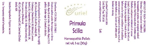 Pill image for Primula Scilla