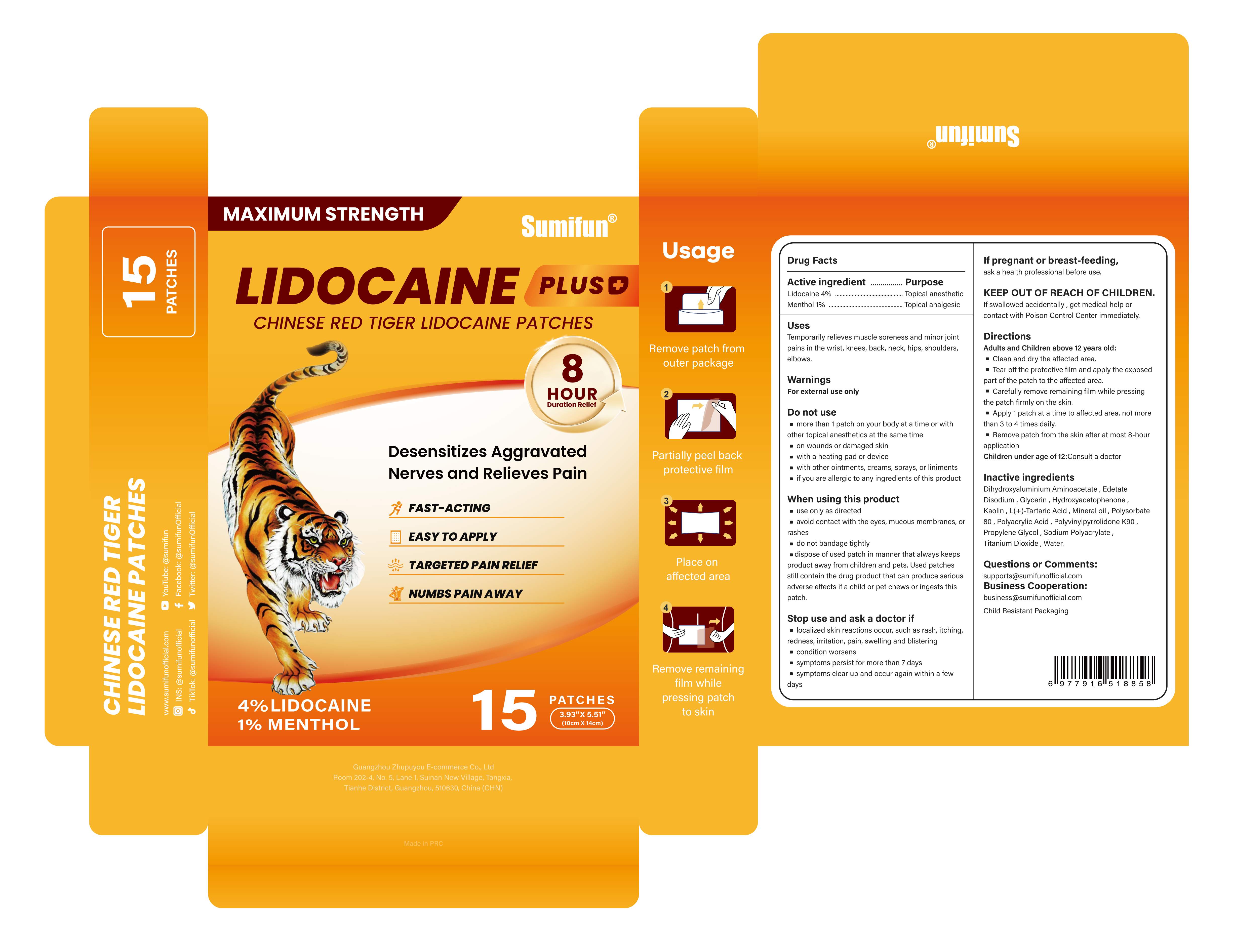 Pill image for 84165-010 Chinese Red Tiger Lidocaine Patches