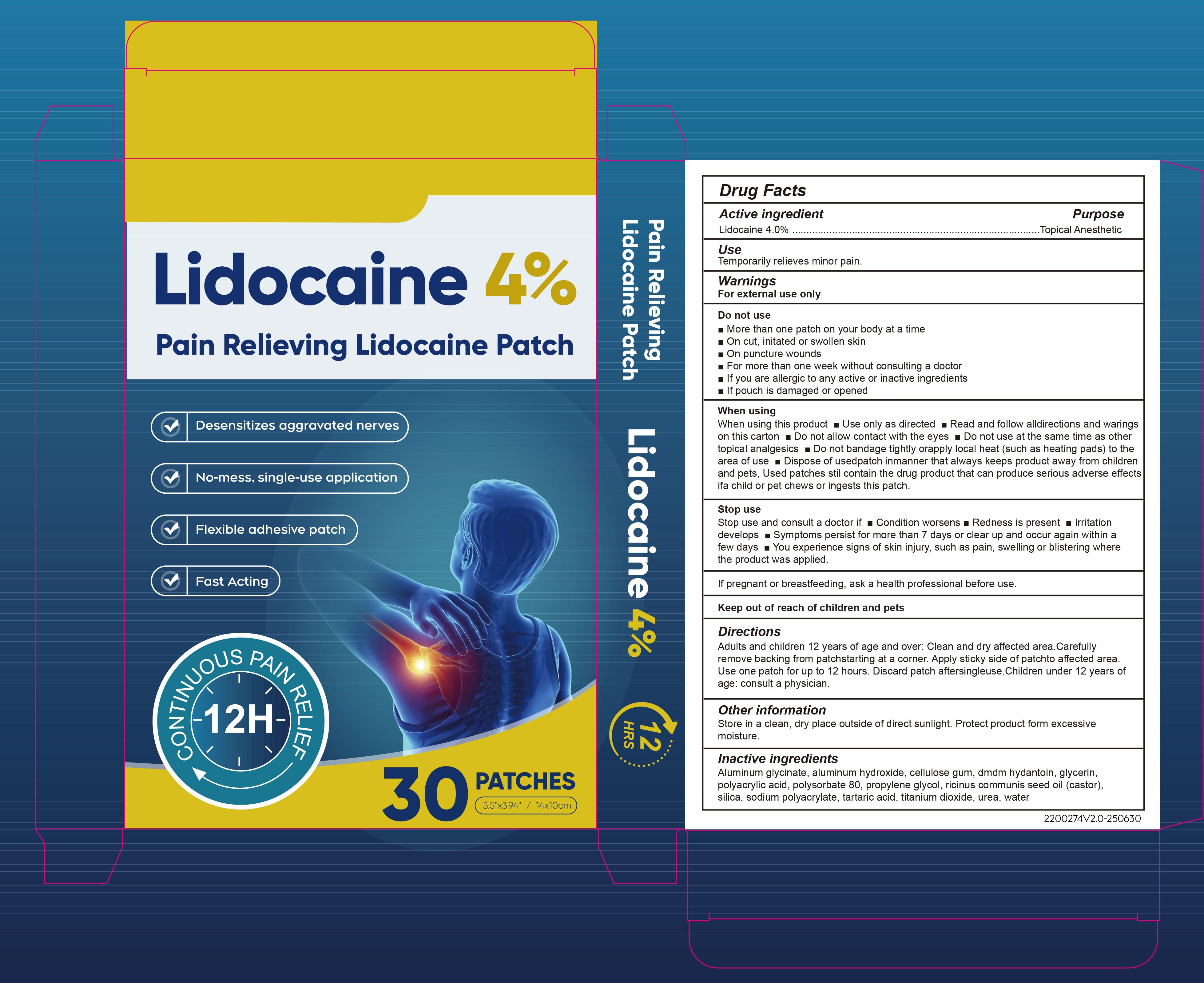 Pill image for 85839-008 Lidocaine Patch