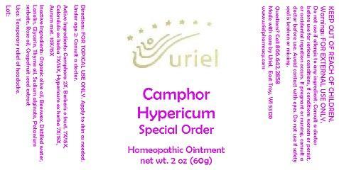 Pill image for Camphor Hypericum Special Order