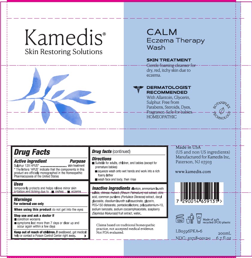 Pill image for Calm Eczema Therapy Wash