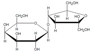 Pill image for Lactulose Oral Solution, Usp