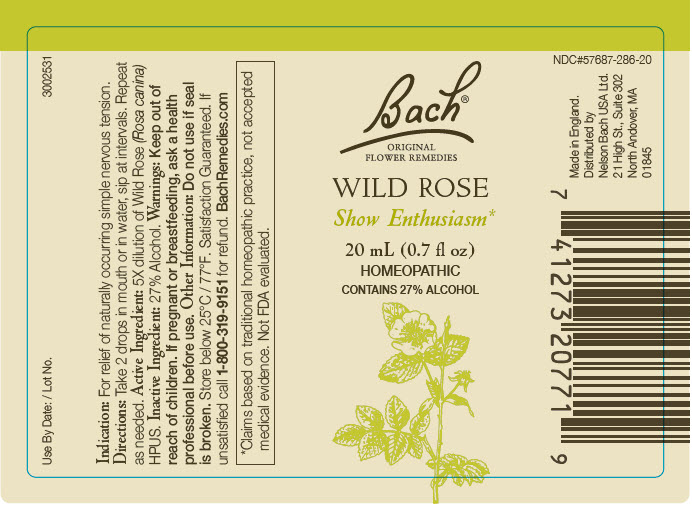 Pill image for bach®