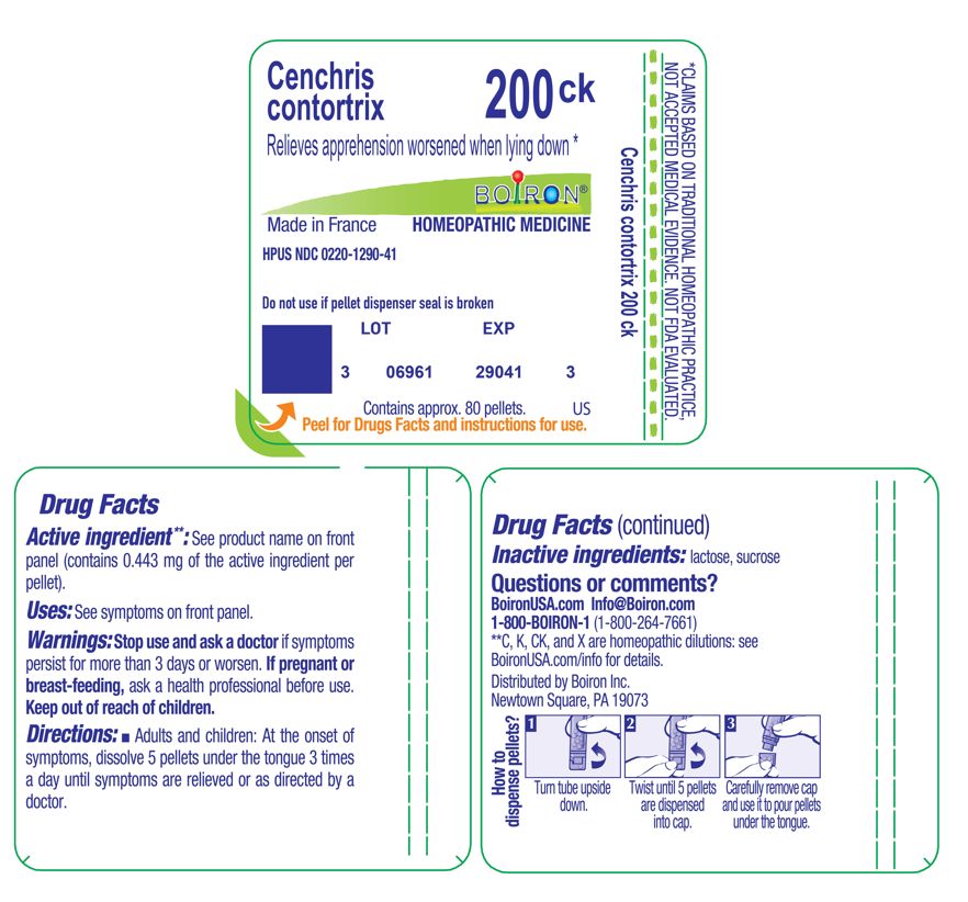 Pill image for Cenchris Contortrix 200ck