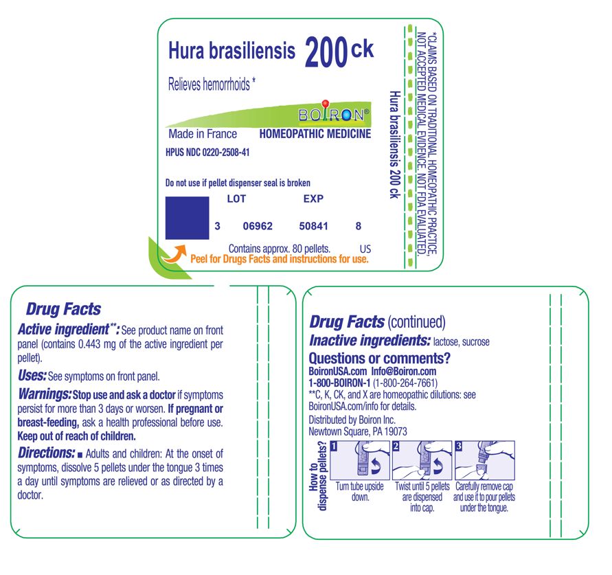 Pill image for hura brasiliensis 200ck
