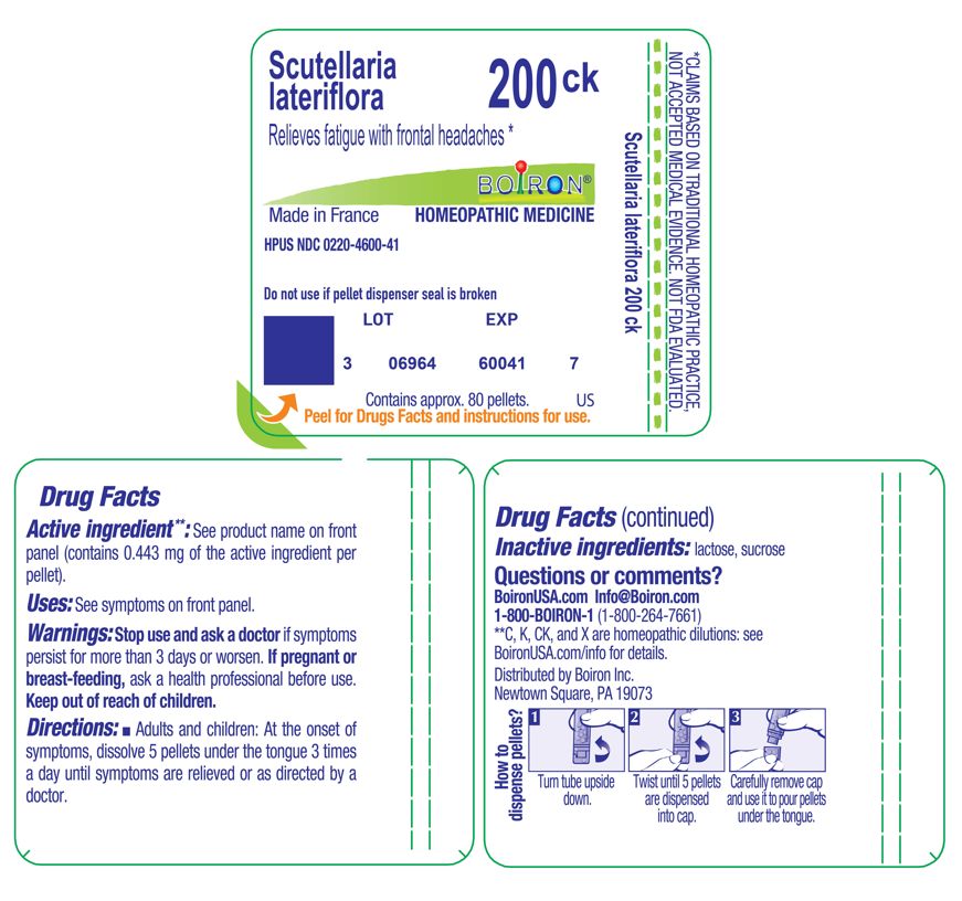 Pill image for scutellaria lateriflora 200ck