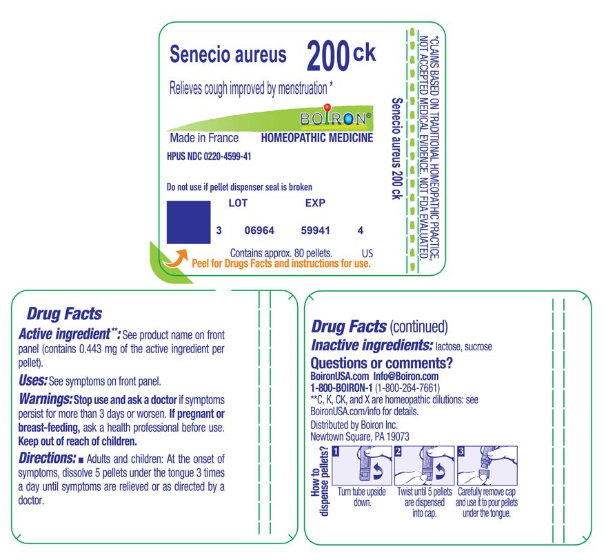 Pill image for senecio aureus 200ck