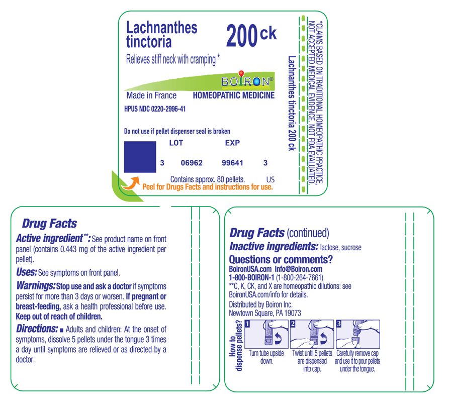 Pill image for lachnanthes tinctoria 200ck