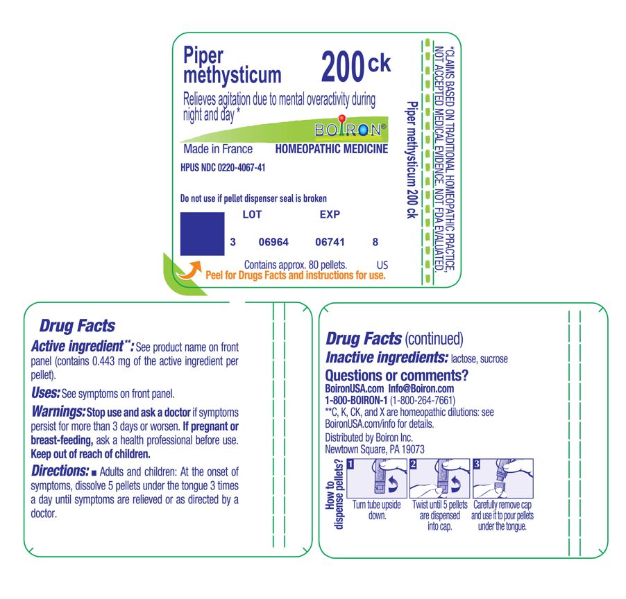 Pill image for piper methysticum 200ck