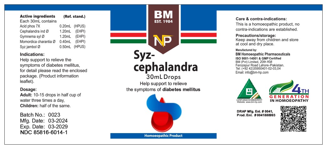 Pill image for bm homeopathic liquid syz cephalandra