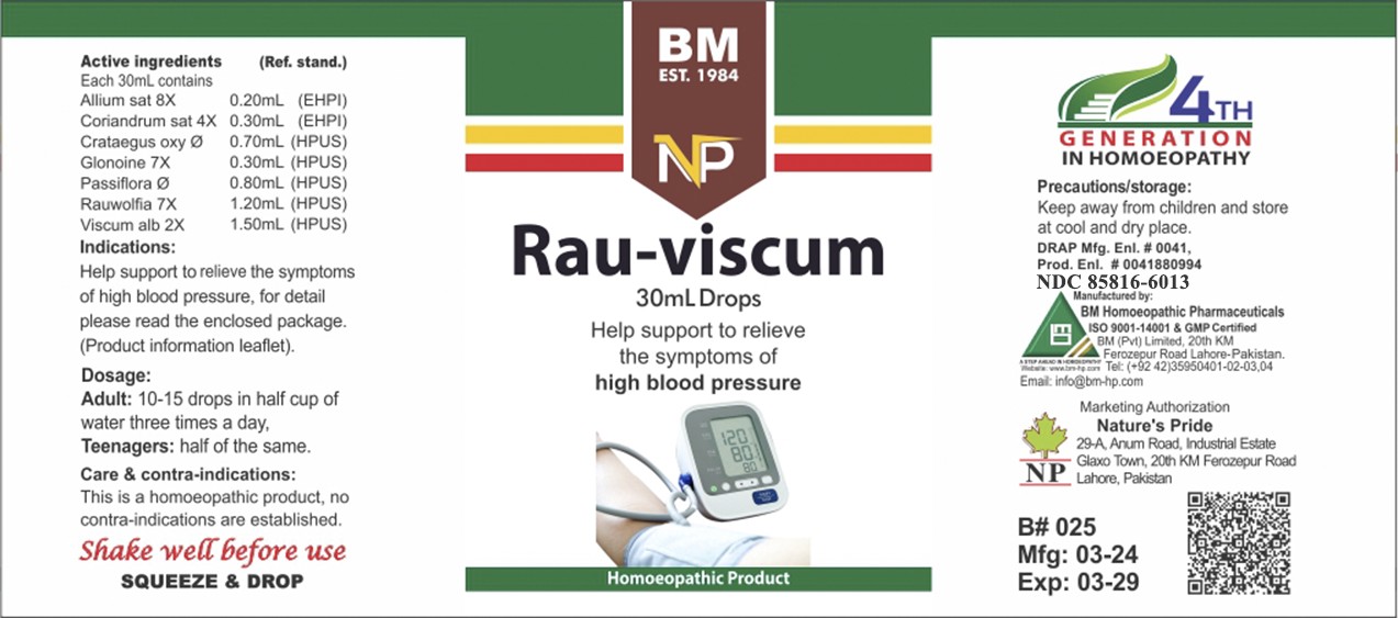 Pill image for Bm Homeopathic Liquid Rau Viscum