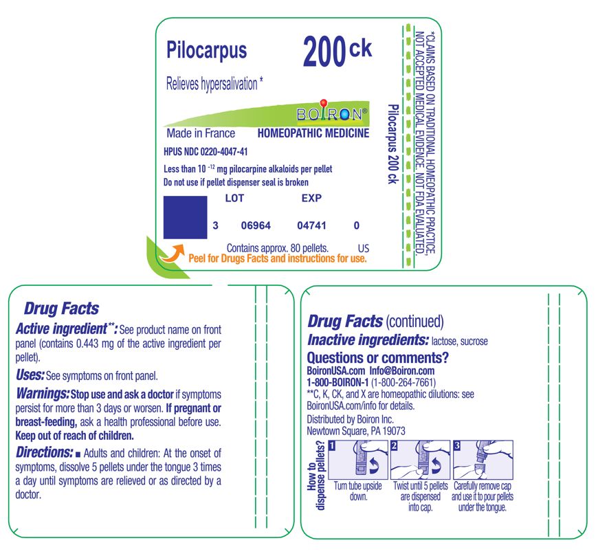 Pill image for pilocarpus 200ck