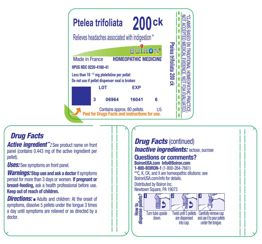 Pill image for ptelea trifoliata 200ck