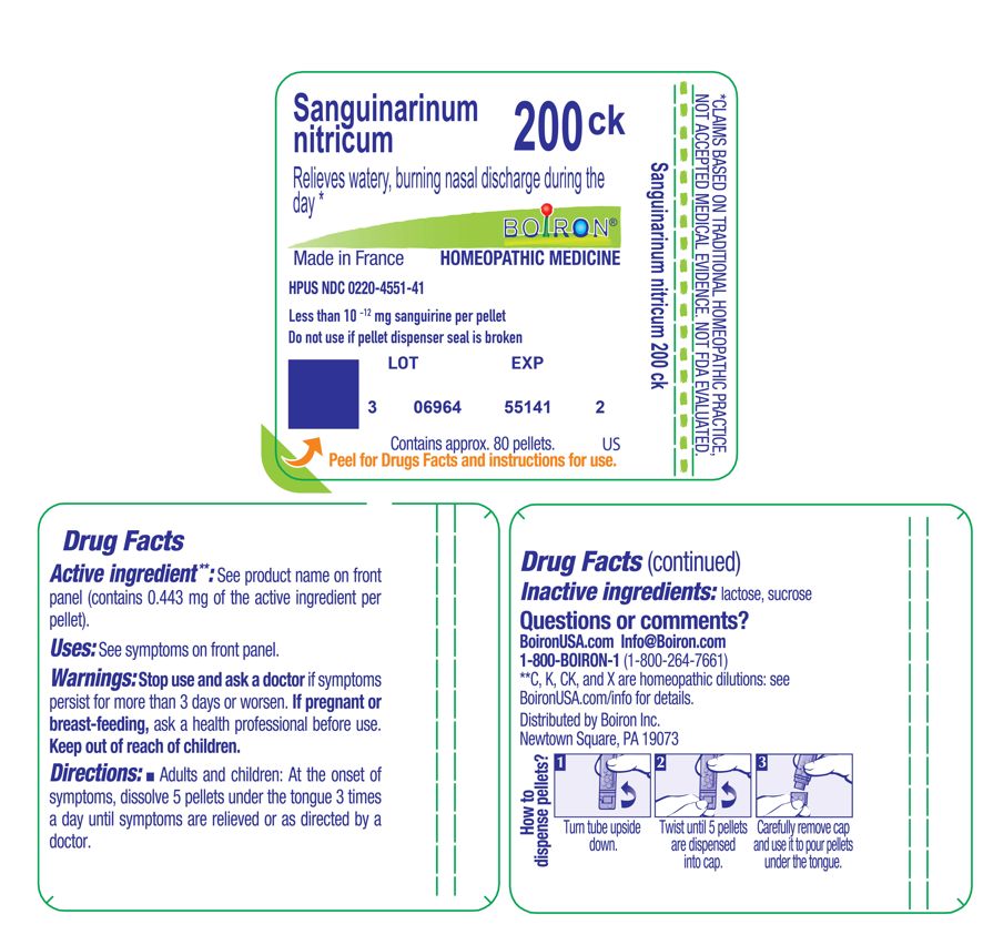 Pill image for sanguinarinum nitricum 200ck