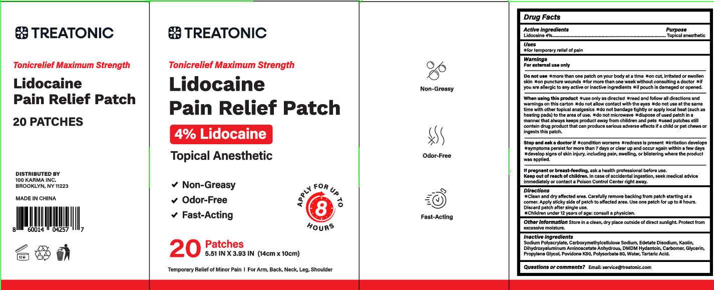 Pill image for Initial Drug Listing - Treatonic Lidocaine Pain Relief Patch